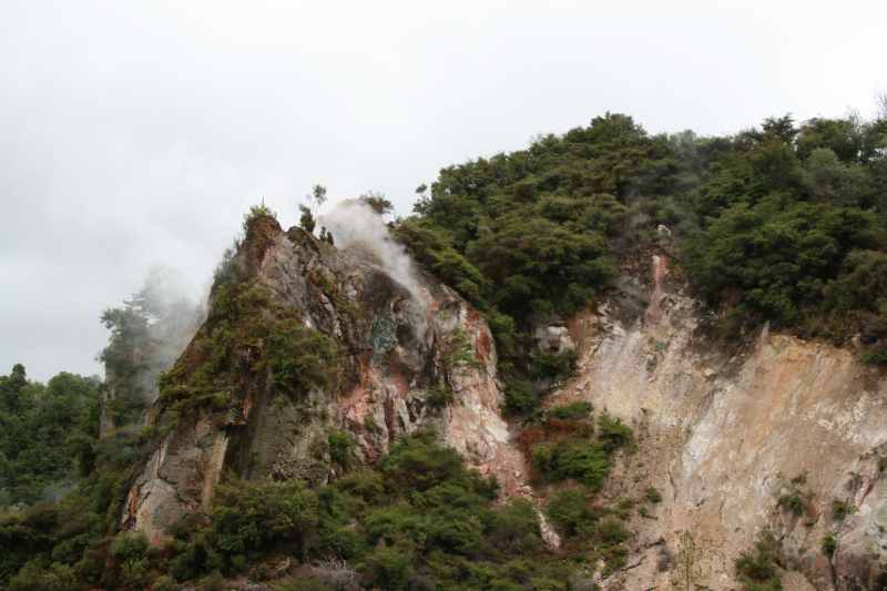 Nieuw-Zeeland 2011 - 0695